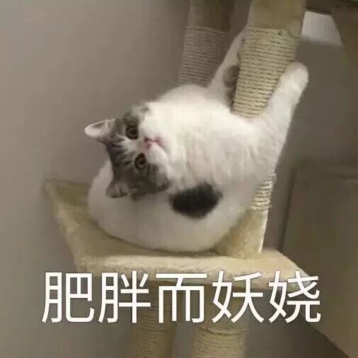 最新热门可爱搞笑表情包图片:新的一天,冲鸭,怪不好意思的