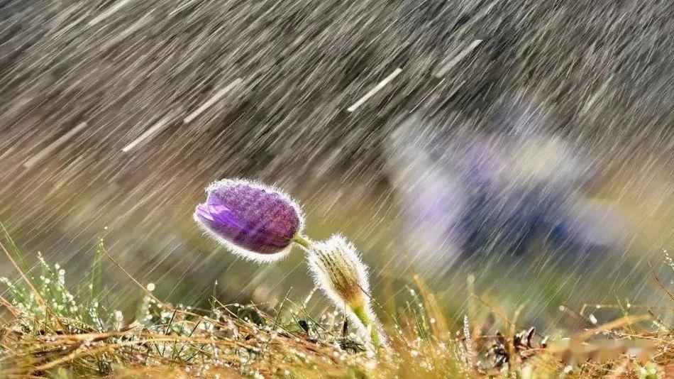 大变天,"降温 降雨"模式即将开启