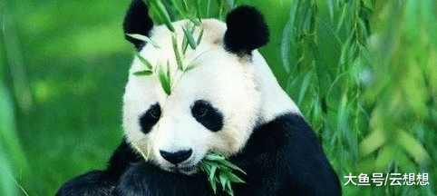 b77d5573fe6440fbb327a3835c62235c.png