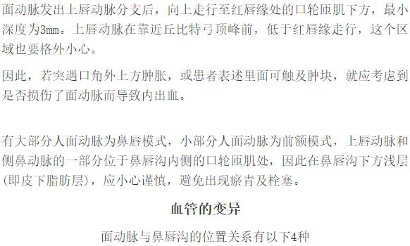 上唇动脉分支区与面动脉迂曲点鼻唇沟睑颧沟眼轮匝肌将颧脂肪垫分为浅