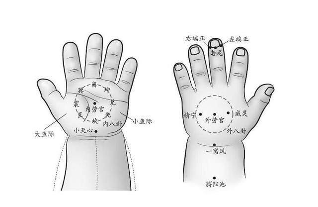 小儿推拿方脉活婴秘旨中的独穴作用