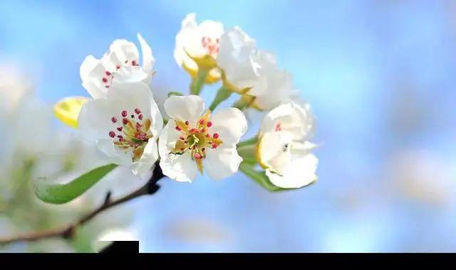 c16eb3d82b184961b3fd522f58aabb4d.jpeg