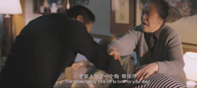 十三什么时候出 c51511e31aeb4df3ac6e13d98e8207d8.jpeg