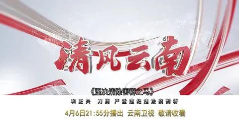 节目预告丨云南卫视《清风云南》4月6日将播出《坚决清除"害群之马"》