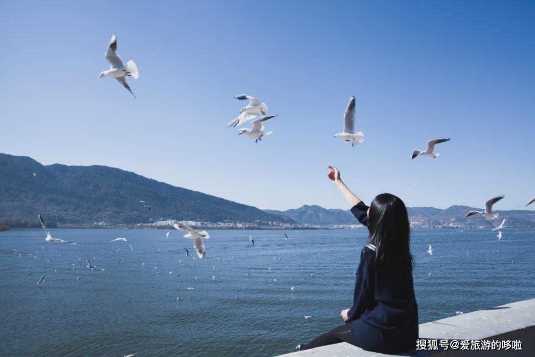 嘉鹏品牌馆
