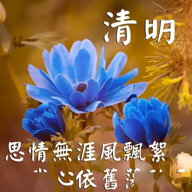 2020年4月5日清明节寄语大全,清明寄语思念图片短句