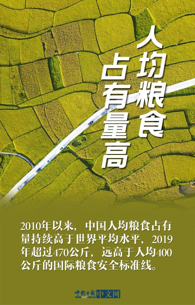什么囤粮成语_粮囤图片