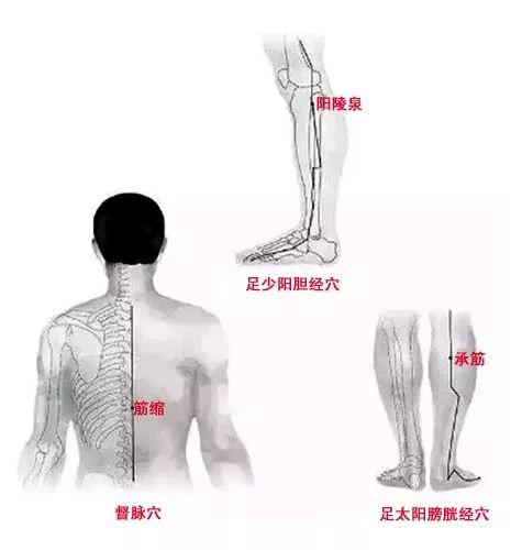 北京荣和堂"功夫足道"肝主筋,地筋隐于足,揉灸小腿下地筋必有神奇功效