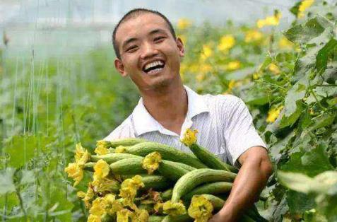 f745086aafc640b2ada00c1a3f2debdc.jpeg