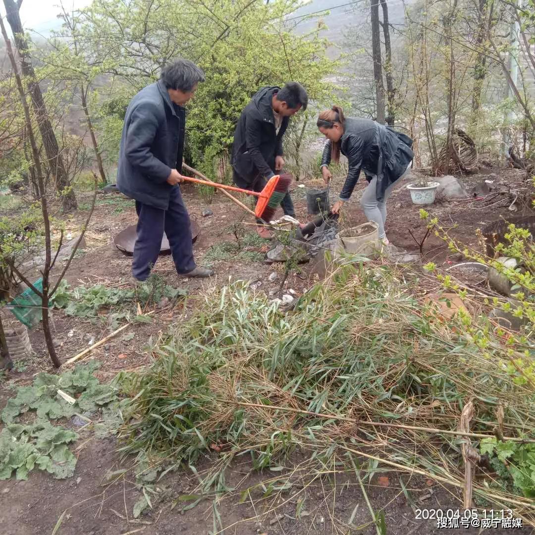 双龙镇多少人口_双龙光绪银币多少克(3)