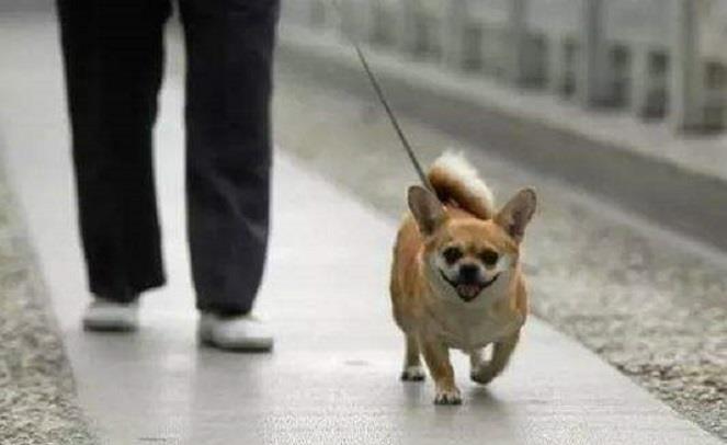 f773202971444b239d7a10822c7c77c2.jpeg