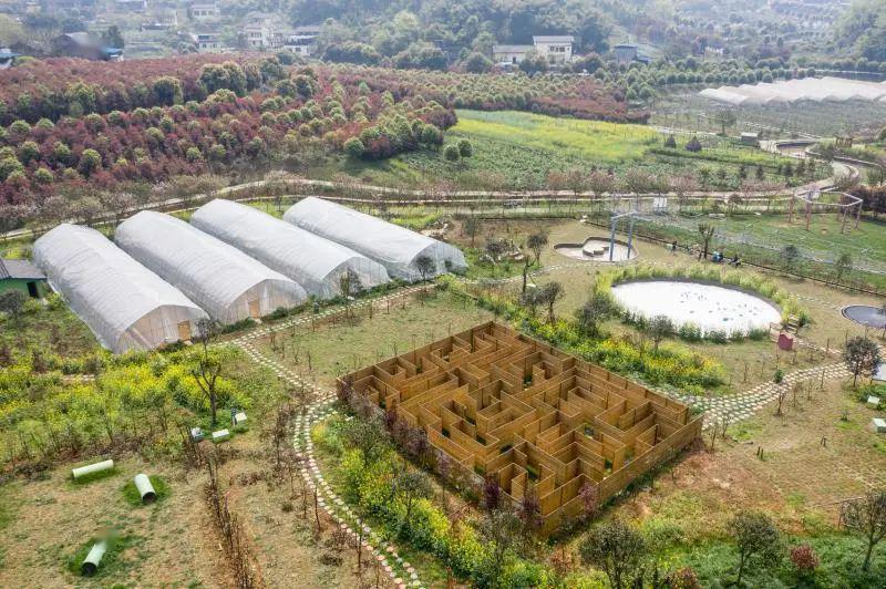 赏:置身花海果园 醉享田园时光4月至,春暖花开,位于渝北区玉峰山镇
