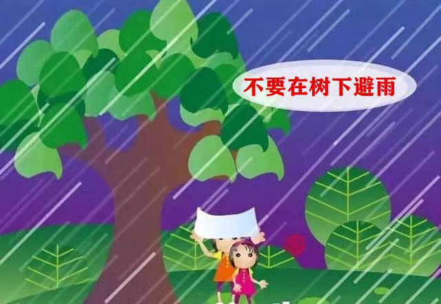 【石碣分园】东方贝尔幼儿园雷雨天气安全防范小知识