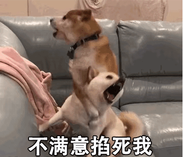 我珍藏的爆笑沙雕情侣头像表情包,一定要看,不满意就掐死我