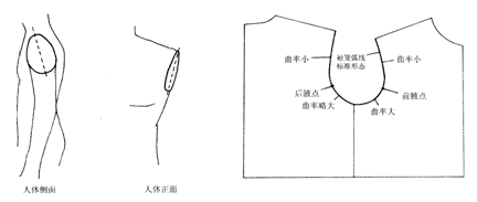 袖的结构设计_弧线