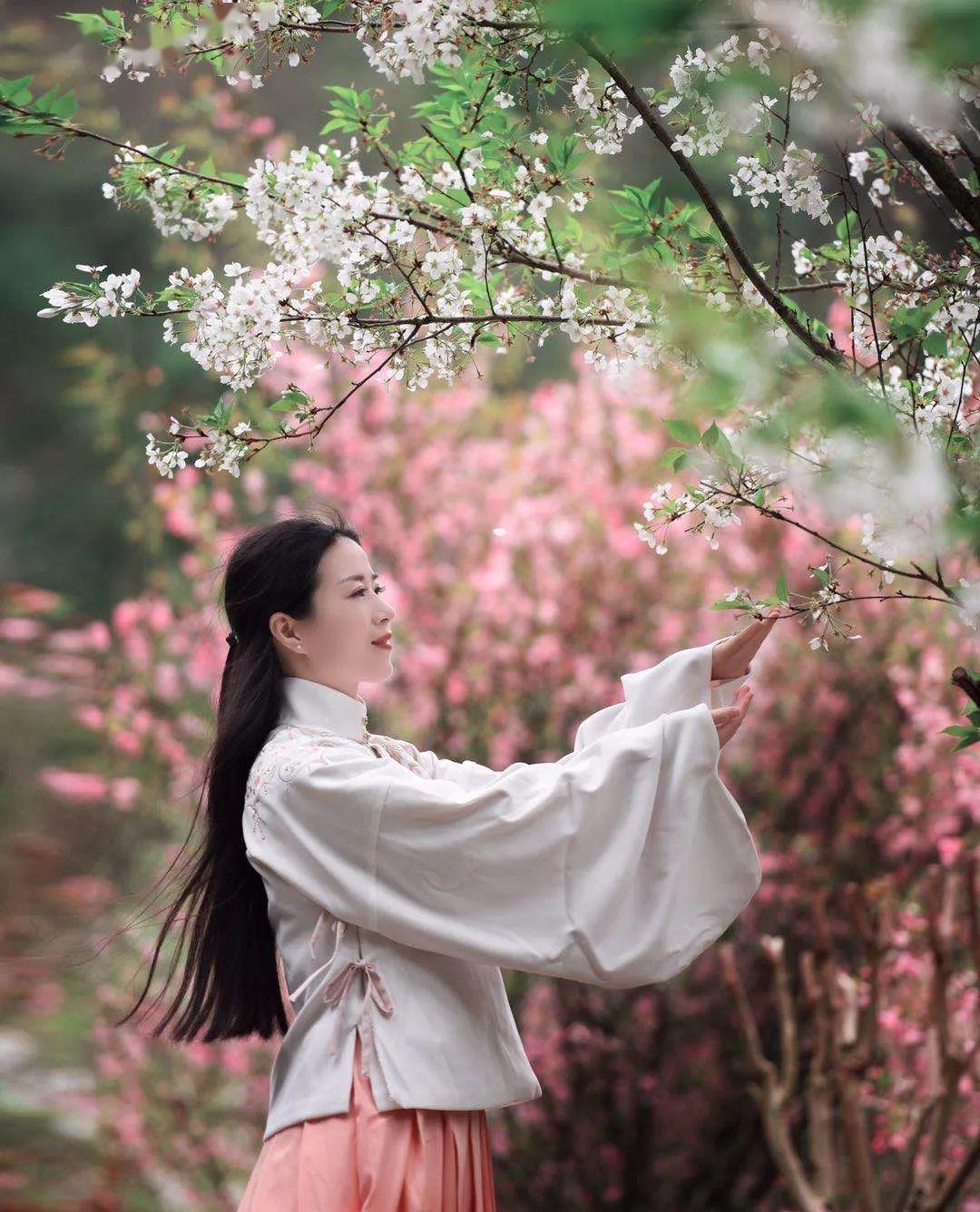 今日播报美翻了天台雷峰乡樱花美女惊艳了时光