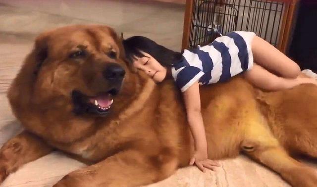 #孩子#若早于这个点,身高可能要被同龄人超10厘米孩子的起床时间
