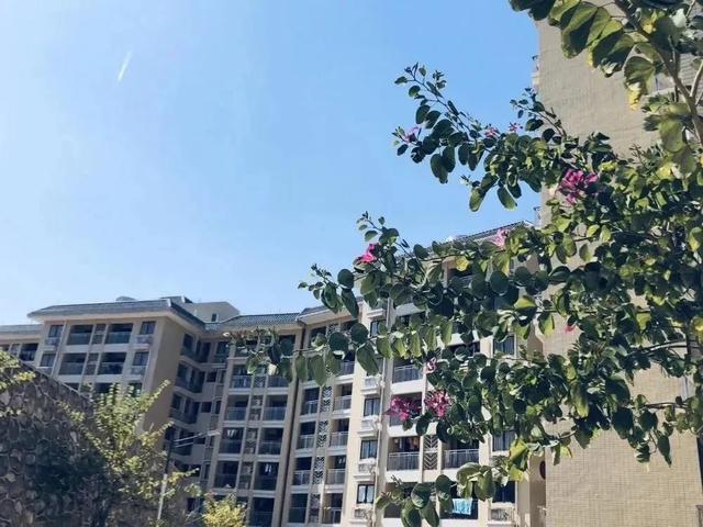 【专业】必看!学考被不喜欢专业录取怎么办?转专业难么?