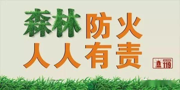 天气以云系变化为主注意森林防火