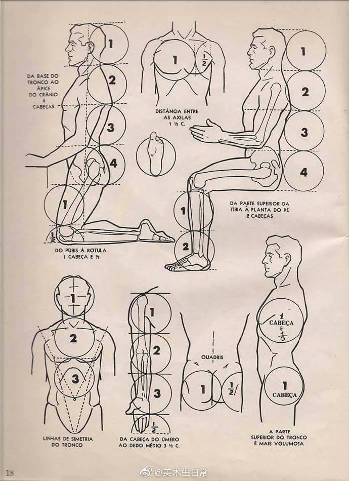 不同状态下的人体比例 美术生艺术生速写素描