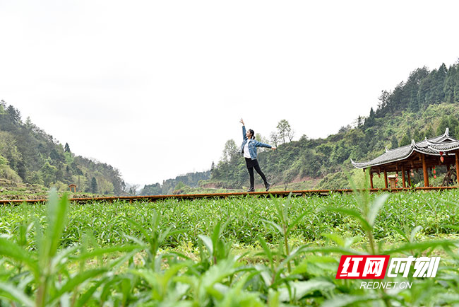 怀化市区有多少人口_怀化城区旺秀山苑小区路口成垃圾场