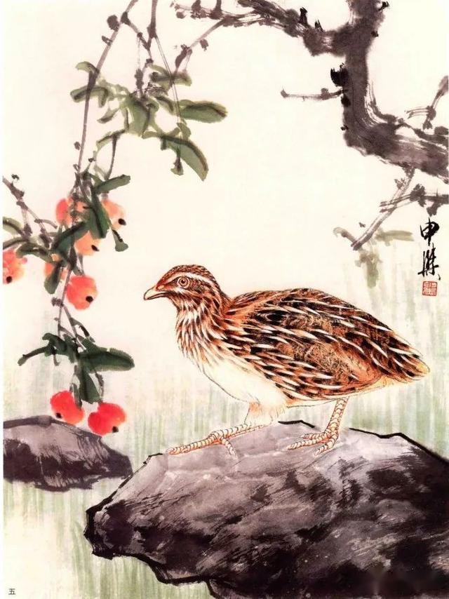 图文教程——鹌鹑的小写意画法步骤