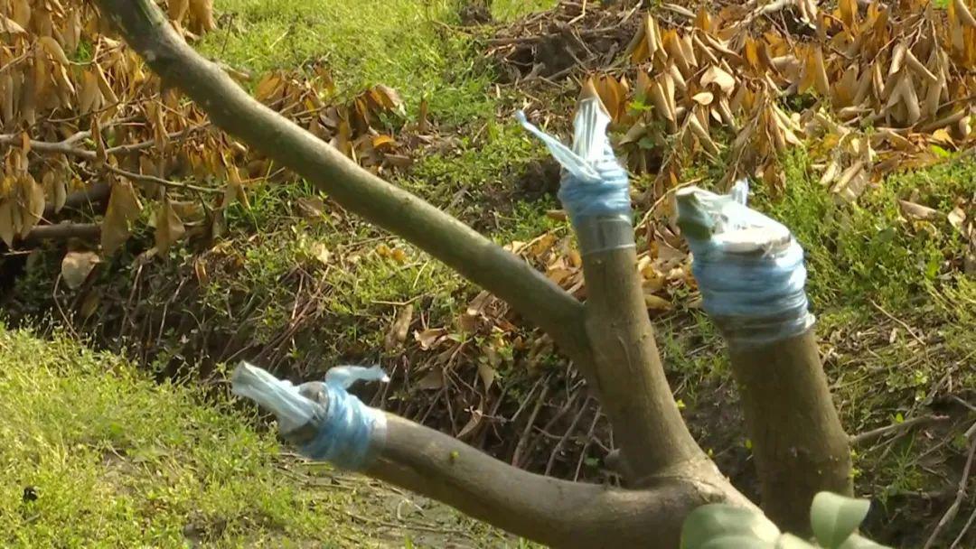 大同经济总量值_大同大学经济系张卉(3)