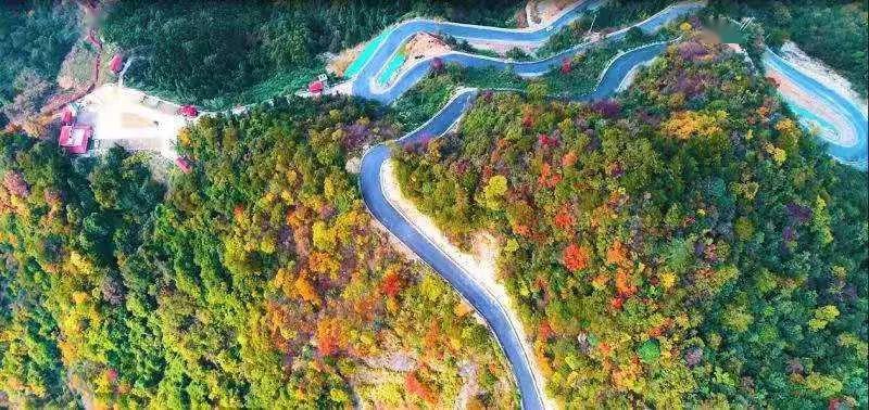 改造后的天妙线成为了大别山岳西最美的自驾游线路.