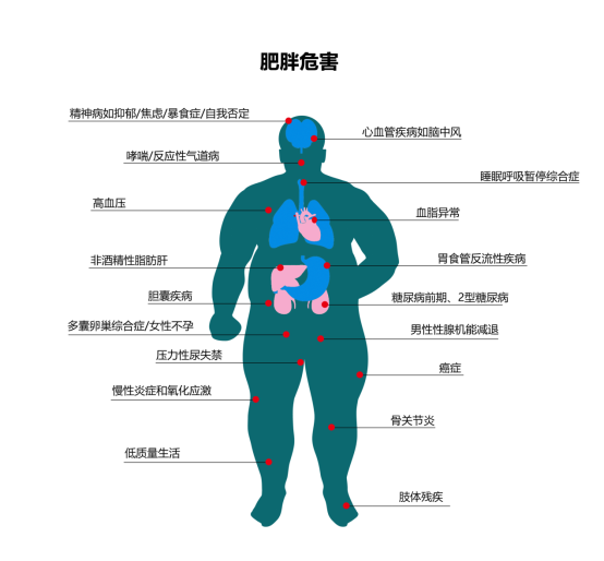 其中包括2型糖尿病,高血压,心血管疾病和癌症,总体死亡率也与肥胖有关