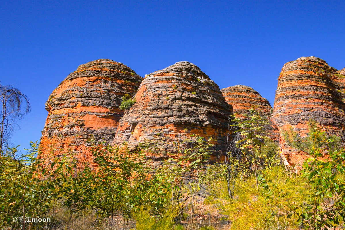 西澳，尖峰石阵。澳大利亚最神奇的风景之一|尖峰石阵|西澳|南邦_新浪新闻