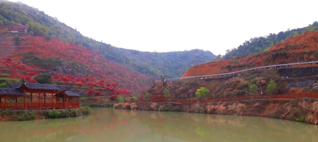 乐清大荆桐阳村位置如图:可以直接导航桐阳村,也可