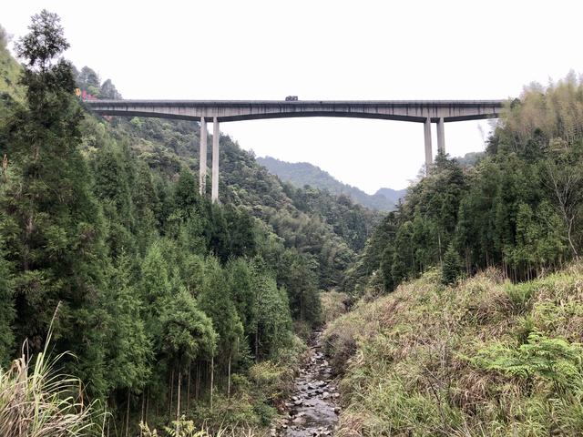 泰顺有多少人口_泰顺有禁摩托(3)