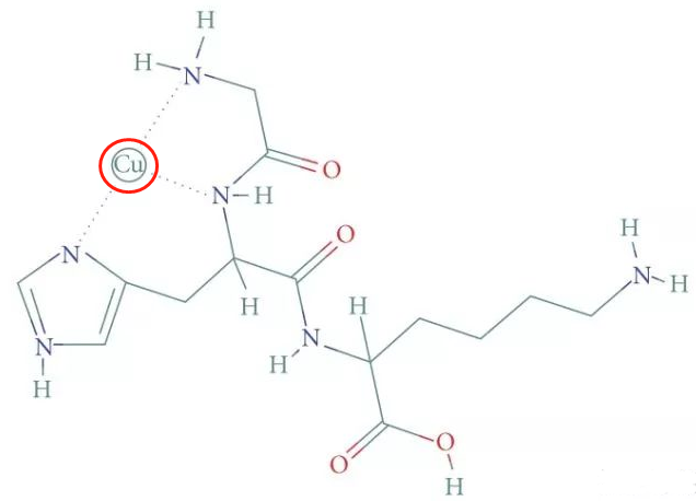 价比黄金的蓝铜胜肽,到底有什么用?