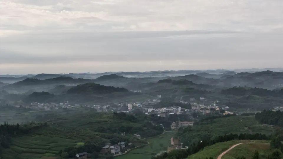 竹篙镇风岭村按照乡村振兴发展,结合自身实际,编制了风岭村乡村振兴