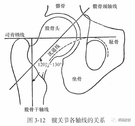 西南交大希望学院商学院分团委