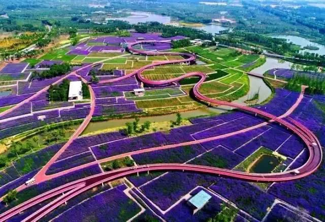 安徽经济总量不如江苏哪个市_黄山在安徽的哪个市(3)