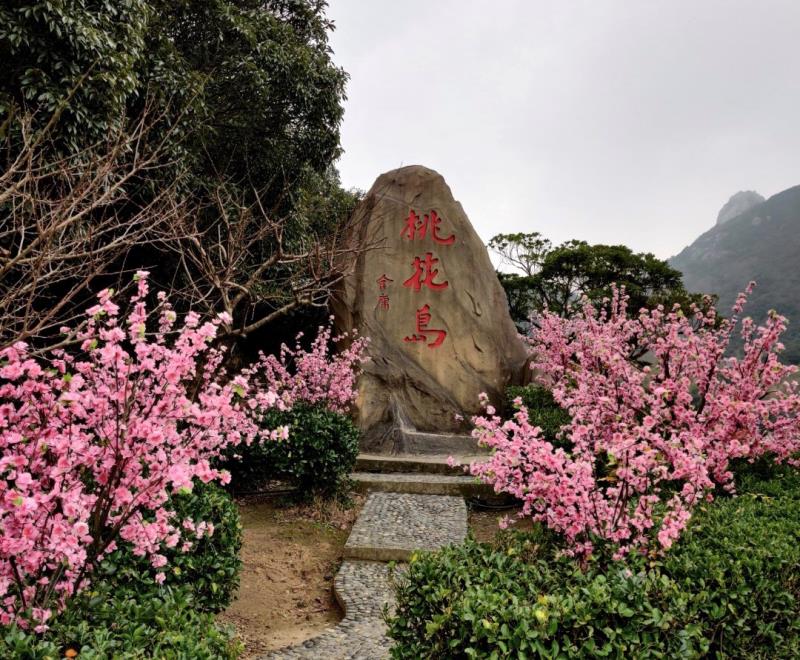 这几个赏桃打卡地满足你的少女心_桃花