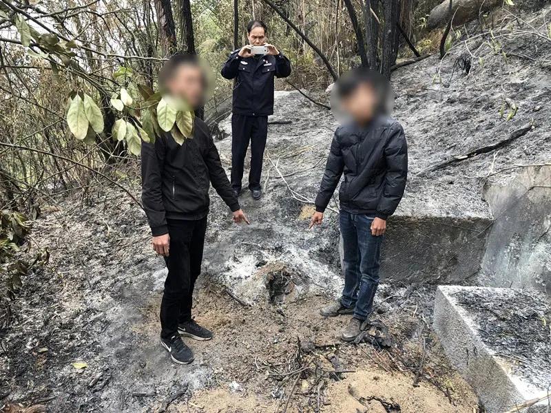 篮兜村人口_人口普查(2)