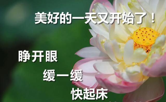 77f88b1bbbb04303b1f2747630c3e263.jpeg