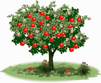 正能量分享做一棵永远成长的苹果树