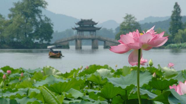 爆破西湖十景,等一个时间,来一场风月