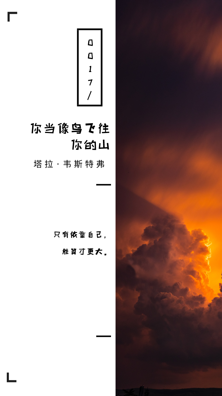 成语鸟飞什么_成语故事简笔画