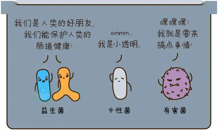 「肠道」宝宝经常便秘、胀气、拉肚子...竟然是这个原因！