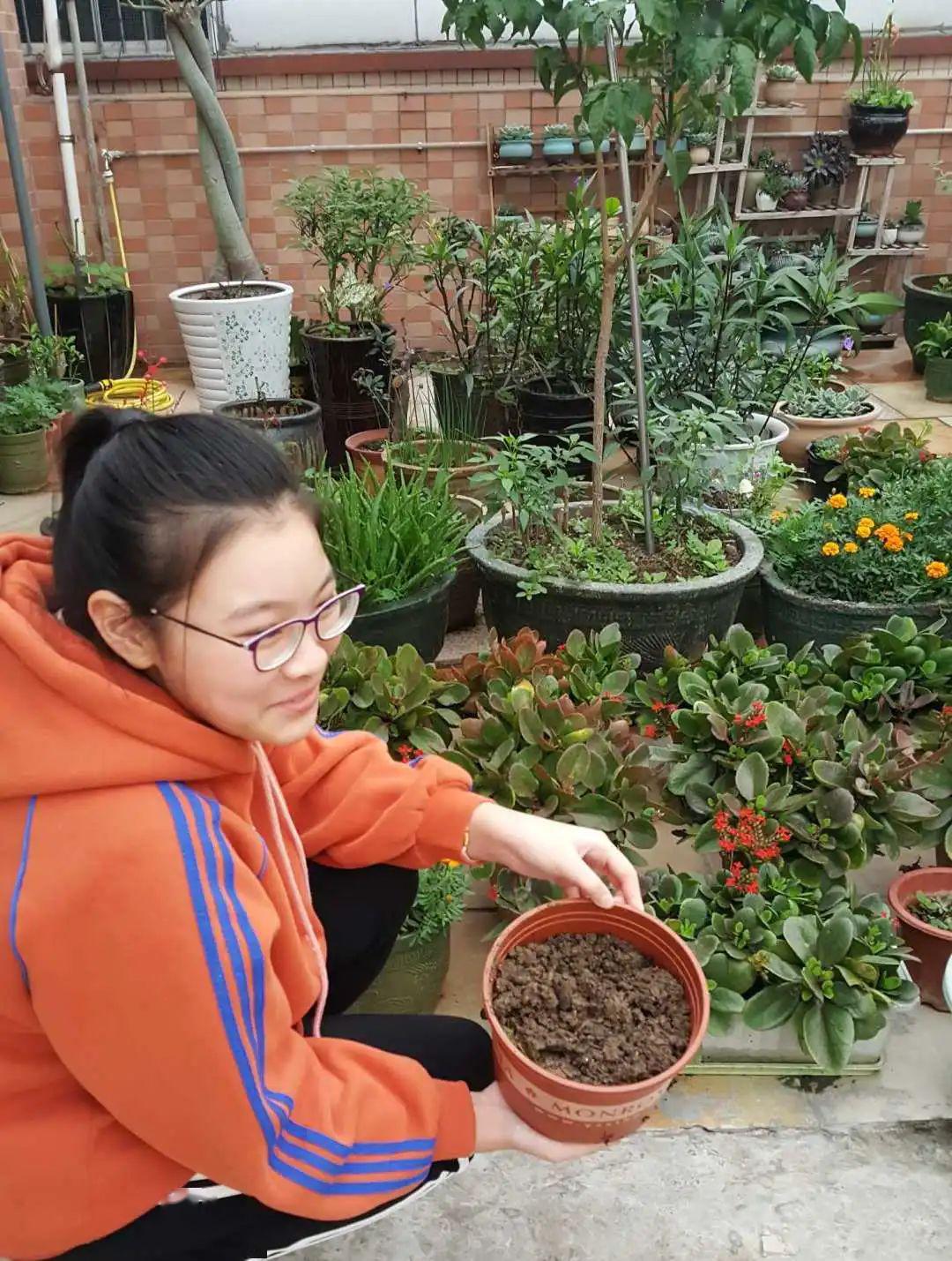 601梁泳桐在制作堆肥箱视频204冯宥熙在做抓尺子游戏视频403刘芯诺