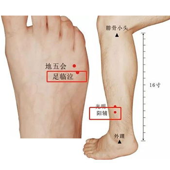 位置 足临泣穴就在第四脚趾和小脚趾之间缝的终点,取穴方法是将手指