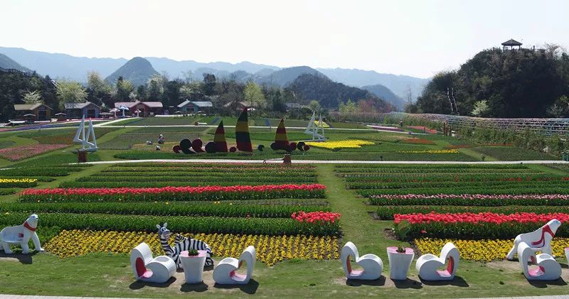 百里杜鹃彝山花谷景区 位于百里杜鹃普底景区西北面启化村, 这里有