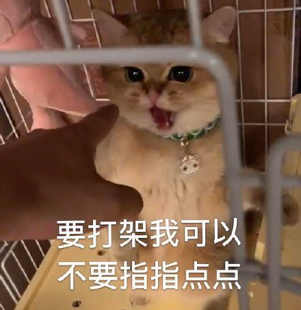 adbfa5ea482d48fdbbf1986a70d8ea1c.jpeg