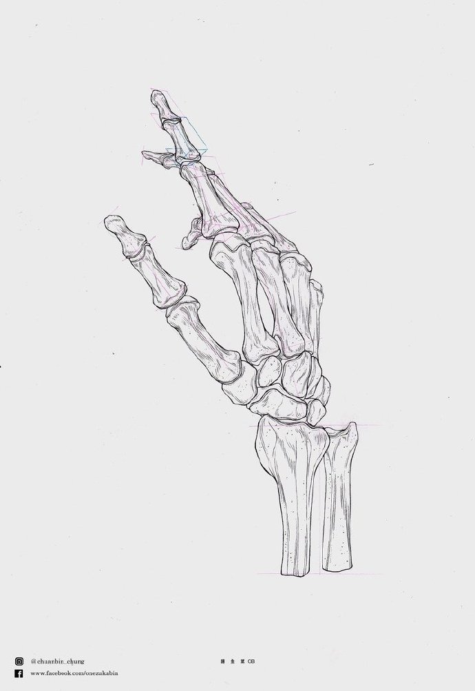 手部骨骼动态美术生素描速写素材搞透就是高手了