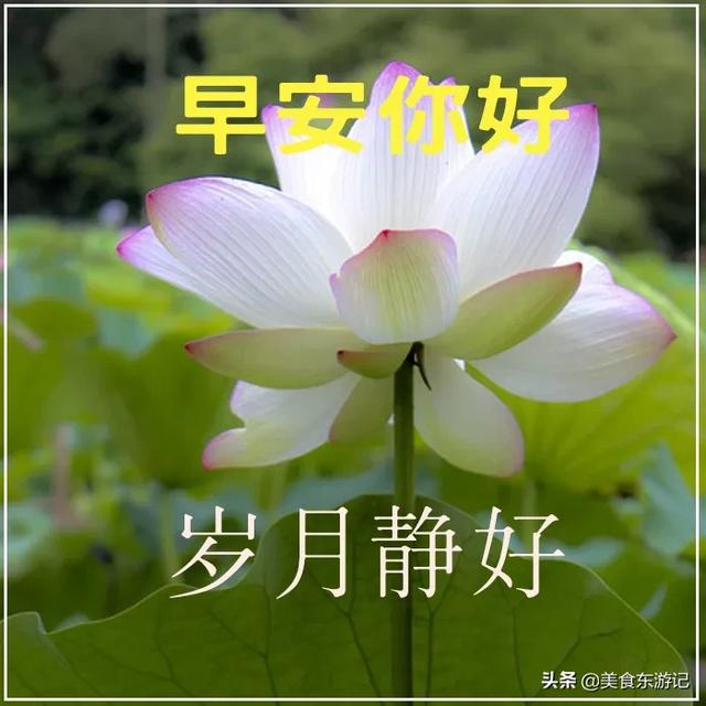 2020年4月5日,心有多精彩,你的世界就有多精彩,早安,周末愉快