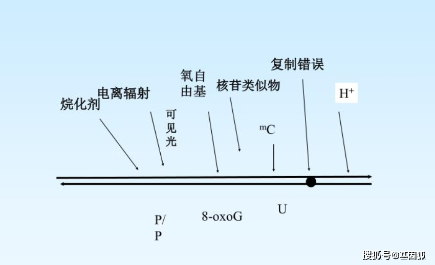 洗煤用放射源是什么原理_放射源是什么样子图(3)